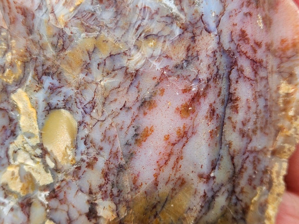 Dendritic Opal  rough.  DOR270