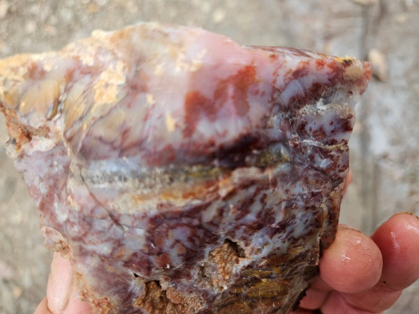 Dendritic Opal  rough.  DOR270