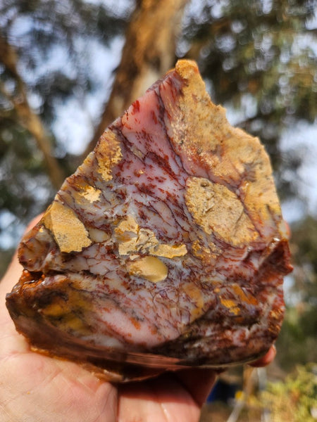 Dendritic Opal  rough.  DOR270