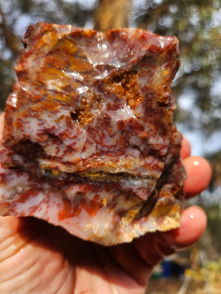 Dendritic Opal  rough.  DOR270