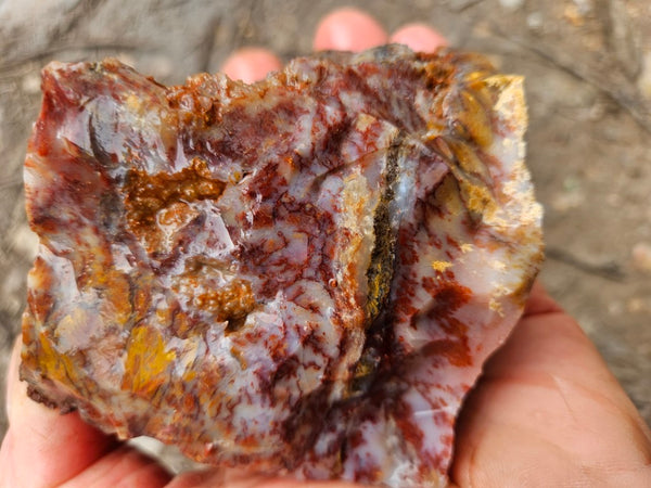 Dendritic Opal  rough.  DOR270