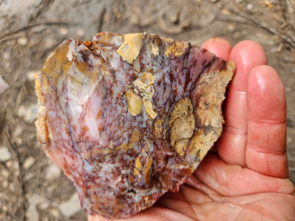 Dendritic Opal  rough.  DOR270