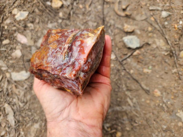Dendritic Opal  rough.  DOR270