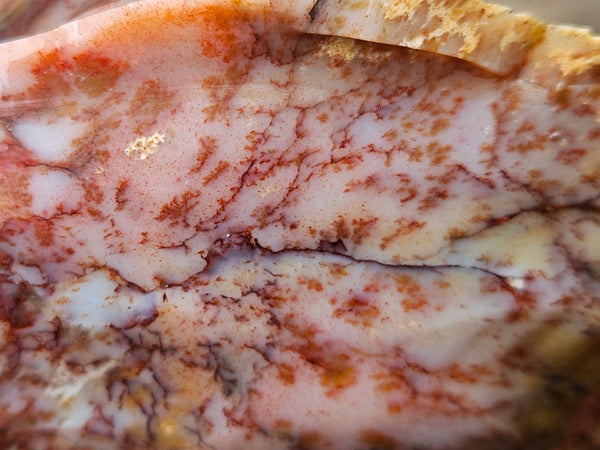 Dendritic Opal  rough.  DOR270