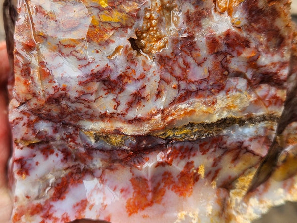 Dendritic Opal  rough.  DOR270