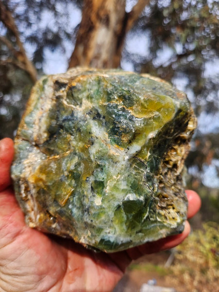 Green Opal  rough.  GOR 141