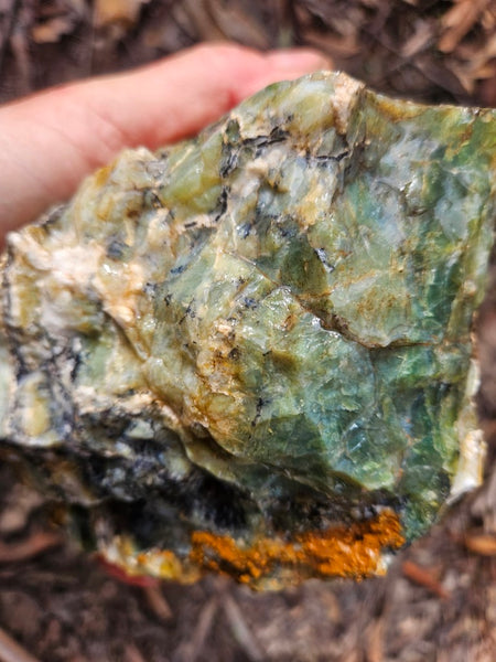 Green Opal  rough.  GOR 141