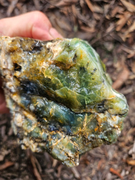 Green Opal  rough.  GOR 141