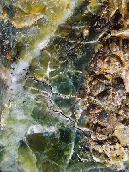 Green Opal  rough.  GOR 141
