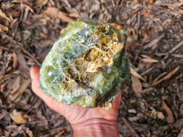 Green Opal  rough.  GOR 141