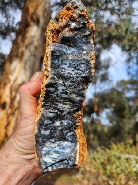 Dendritic Opal  rough.  DOR269