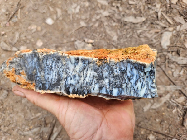 Dendritic Opal  rough.  DOR269