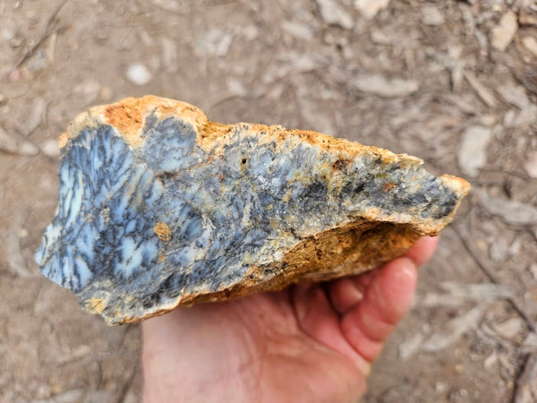 Dendritic Opal  rough.  DOR269