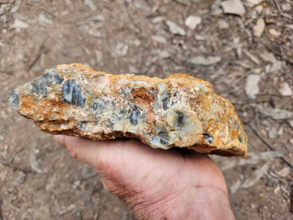 Dendritic Opal  rough.  DOR269