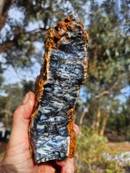 Dendritic Opal  rough.  DOR269