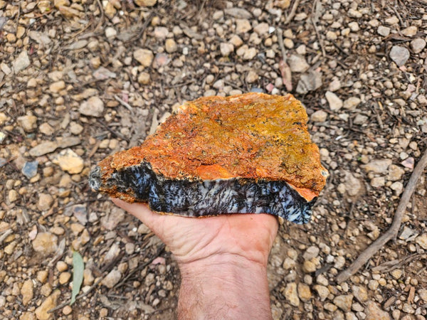 Dendritic Opal  rough.  DOR269