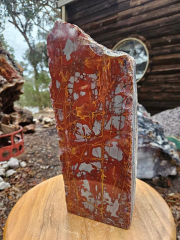 Noreena Jasper  No. 1