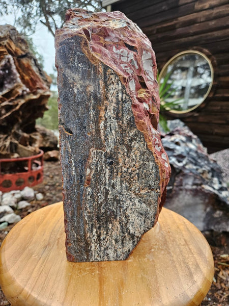 Noreena Jasper  No. 1