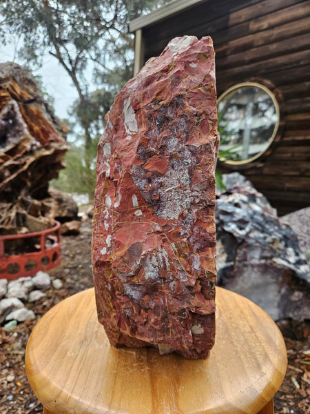 Noreena Jasper  No. 1