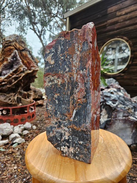 Noreena Jasper  No. 1