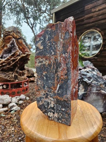 Noreena Jasper  No. 1
