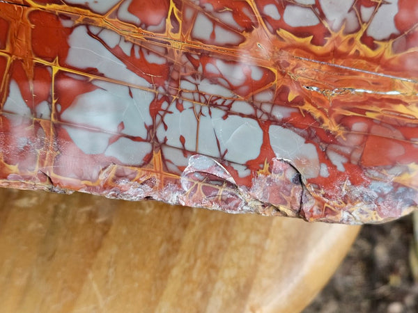Noreena Jasper  No. 1