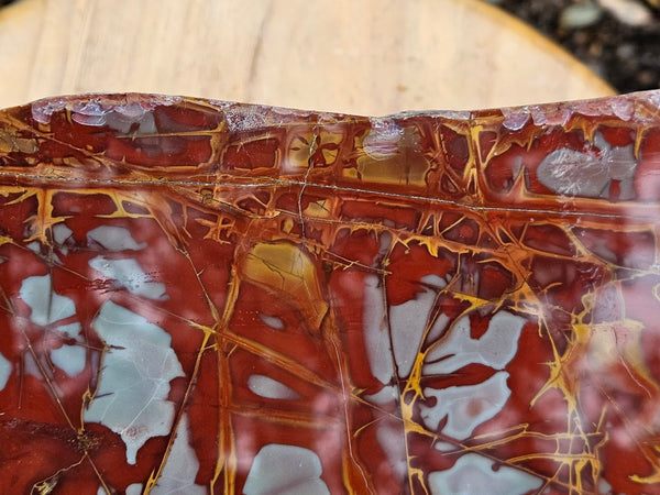 Noreena Jasper  No. 1