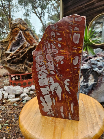 Noreena Jasper  No. 2