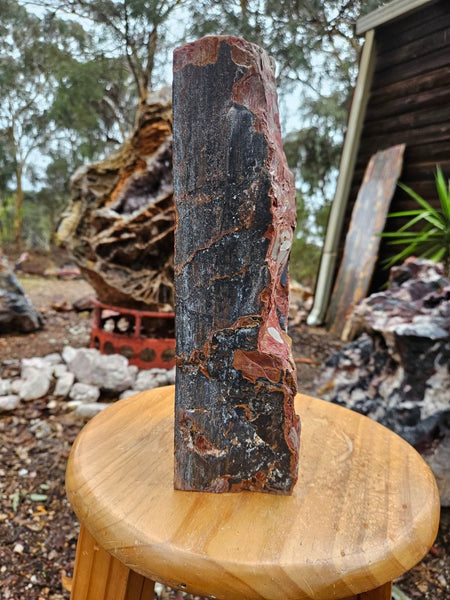 Noreena Jasper  No. 2