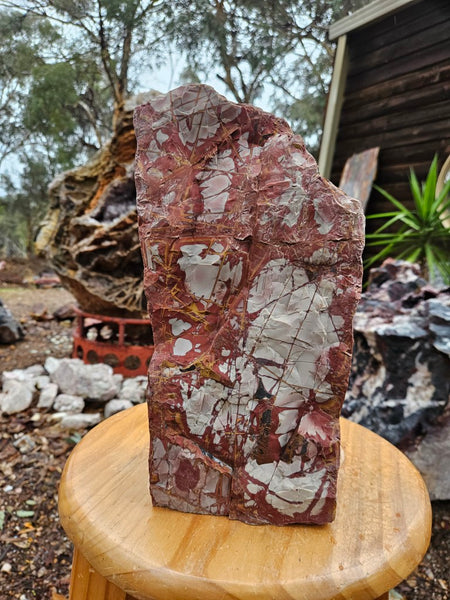 Noreena Jasper  No. 2