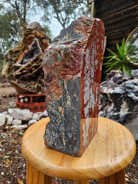 Noreena Jasper  No. 2