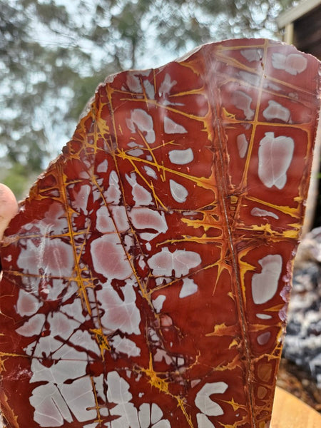 Noreena Jasper  No. 2