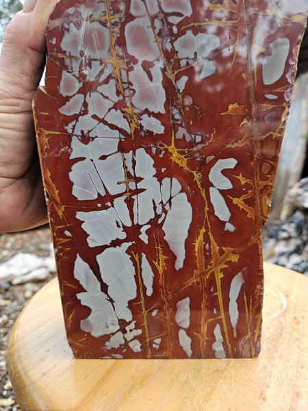 Noreena Jasper  No. 2