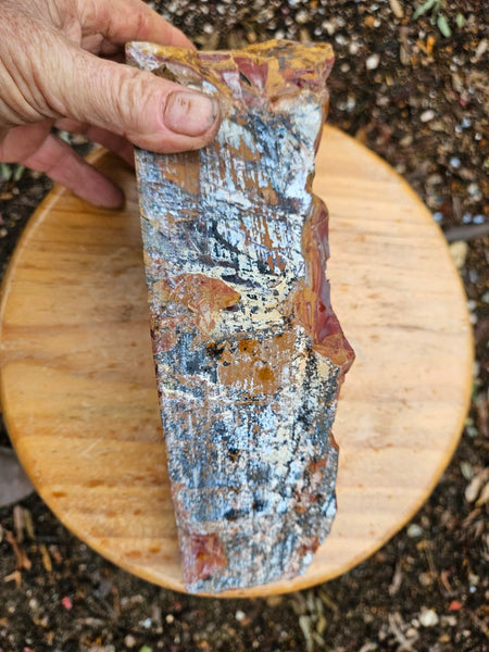 Polished Noreena Jasper. NJ485