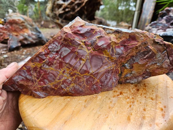 Polished Noreena Jasper. NJ485