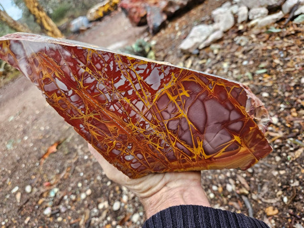 Polished Noreena Jasper. NJ485