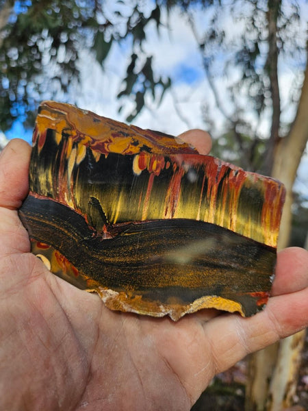 Polished Tiger Eye slab TE469