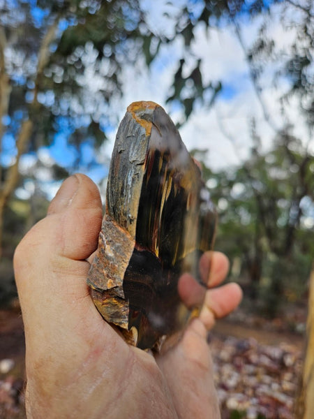 Polished Tiger Eye slab TE469