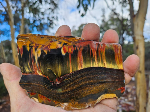 Polished Tiger Eye slab TE469