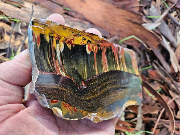 Polished Tiger Eye slab TE469
