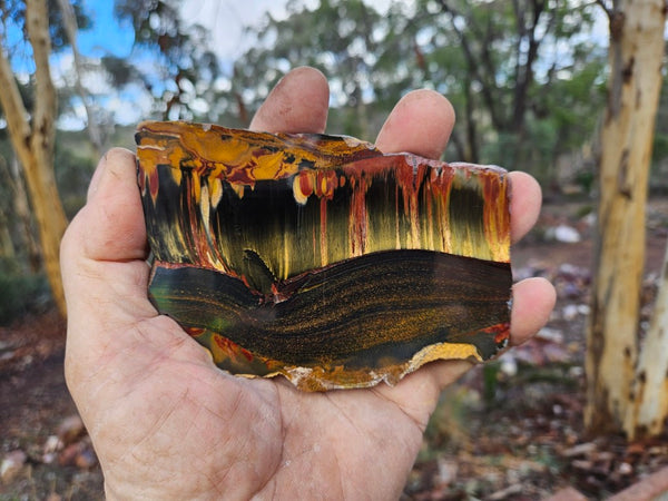 Polished Tiger Eye slab TE469