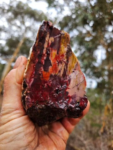 Mookaite rough.  MKR 275