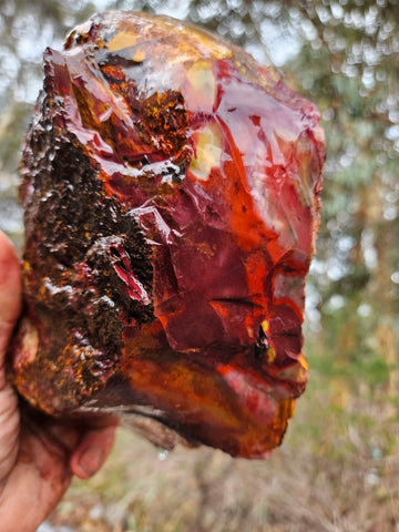 Mookaite rough.  MKR 278