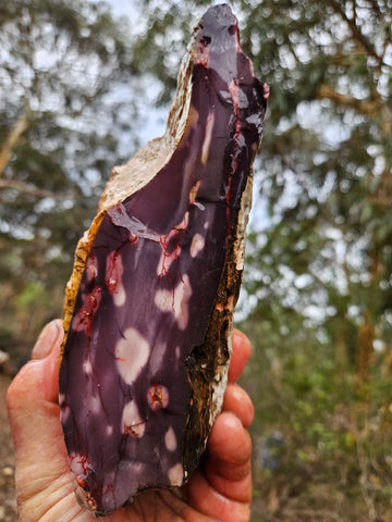 Mookaite rough.  MKR 276
