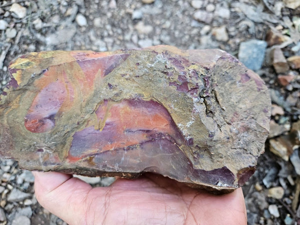 Mookaite rough.  MKR 279