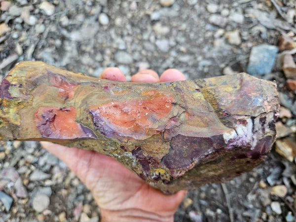 Mookaite rough.  MKR 279