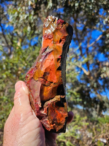 Mookaite rough.  MKR 279