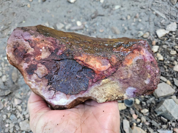 Mookaite rough.  MKR 279