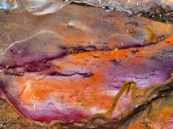 Mookaite rough.  MKR 279