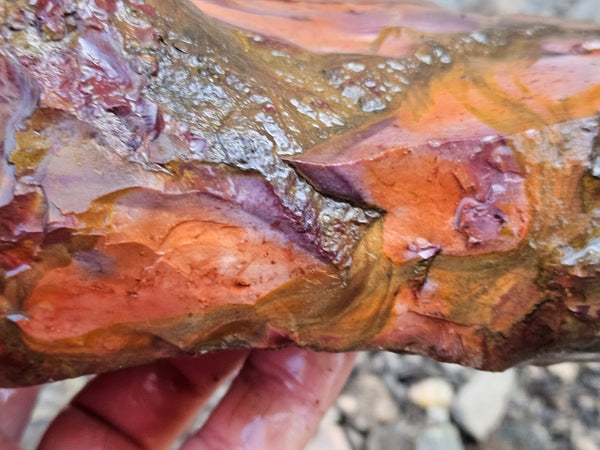 Mookaite rough.  MKR 279